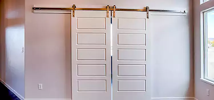 Glass Barn Door with Installation Hardware Kit Thompson